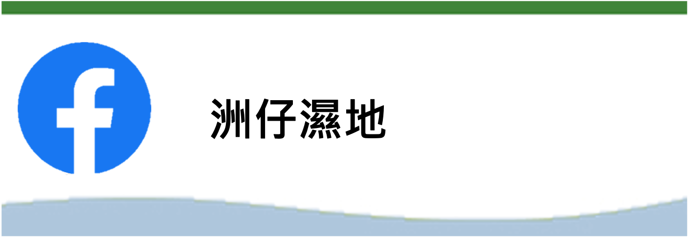 洲仔濕地(另開新視窗)
