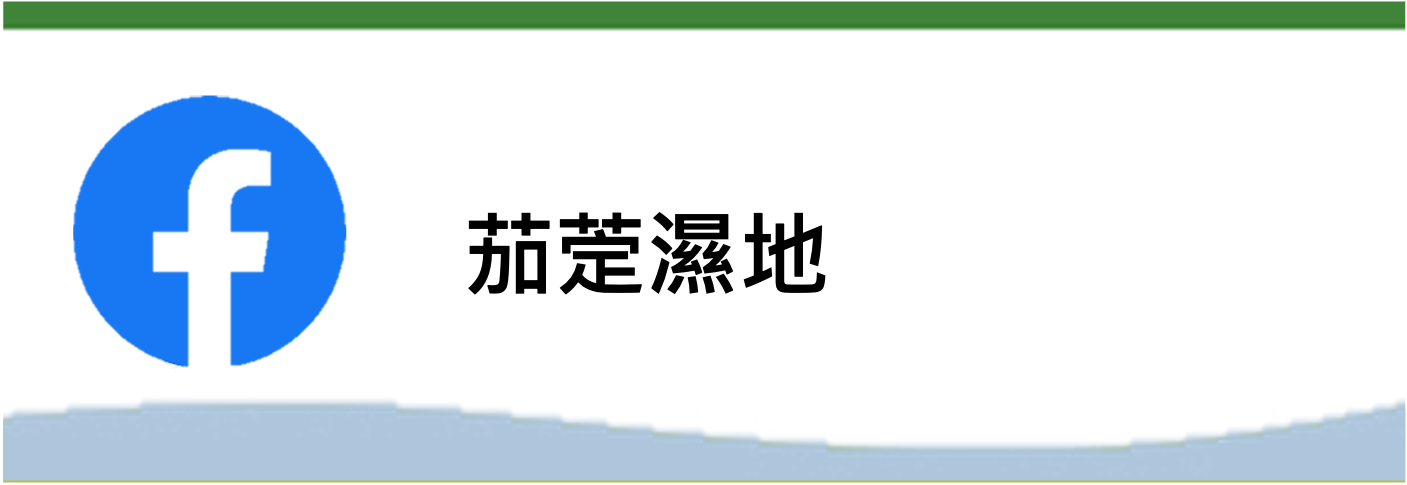 茄萣濕地(另開新視窗)